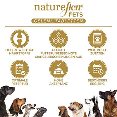 Gelenktabletten für Hunde - mit Grünlippmuschel, MSM und Teufelskralle - Hohe Akzeptanz beim Hund da keine Kapseln - 100 Tabletten für bis zu 6 Monate - In Deutschland hergestelltes Ergänzungsfutter