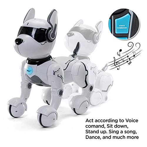 Top Race Ferngesteuertes Roboterhund mit Licht und Sound, Interaktives Hundespielzeug, Ferngesteuerter Welpen Roboter tanzt intelligent zum Beat, elektronisches Haustier für Kinder von 3,4,5,6,7,8,9