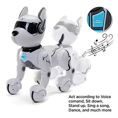 Top Race Ferngesteuertes Roboterhund mit Licht und Sound, Interaktives Hundespielzeug, Ferngesteuerter Welpen Roboter tanzt intelligent zum Beat, elektronisches Haustier für Kinder von 3,4,5,6,7,8,9