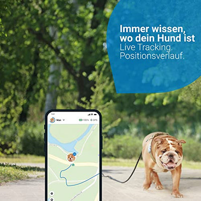 Tractive GPS DOG 4. Tracker für Hunde. Immer wissen, wo dein Hund ist. Halte ihn mit Aktivitätstracking fit. Unbegrenzte Reichweite. (Schneeweiß)