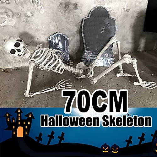 Halloween Deko,70/160 cm lebensgroßes Skelett Ganzkörper realistische menschliche Knochen mit beweglichen Gelenken für Halloween Pose Skelett Prop Dekoration (70 cm)