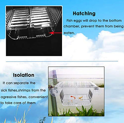 capetsma Fischzuchtkasten, Acryl-Fisch-Isolationsbox mit Saugnäpfen, Aquarium-Acclimation Hatchery Inkubator für Babyfische, Garnelen, Clownfische und Guppy... Kleine Größe (S)