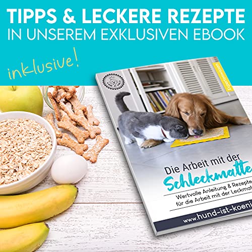 HUND IST KÖNIG® Leckmatte Hund mit patentierter Struktur + Saugnäpfe, Schleckmatte Hund 22x22cm [2 Stück] inkl. Spatel + Rezepte-Ebook, Hunde Leckmatte lebensmittelecht & spülmaschinenfest