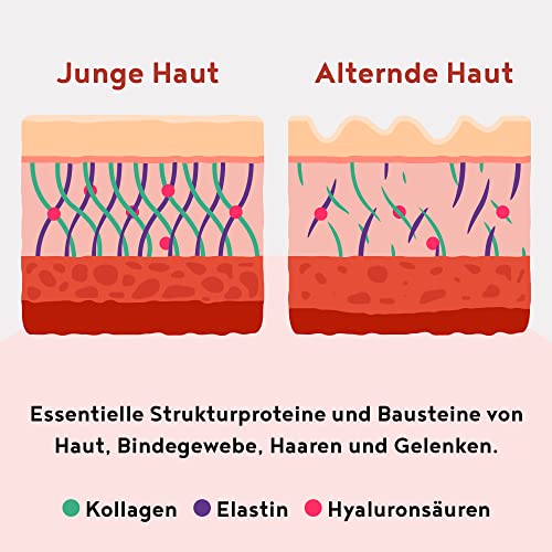 Collagen mit Marine Elastin und Hyaluronsäure - Kollagen Hydrolysat Peptide Type I, II und III - Optimale Löslichkeit und Bioverfügbarkeit - Geschmacksneutral - 450g Collagen Pulver