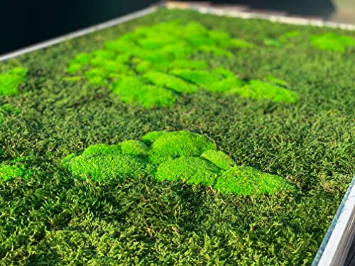 3D Moss World Gerahmte Karte - stabilisiertes Naturwaldmoos und nordische Flechten - Wanddekoration Innendekoration (112x65cm, grünes Moos - schwarzer Holzrahmen)