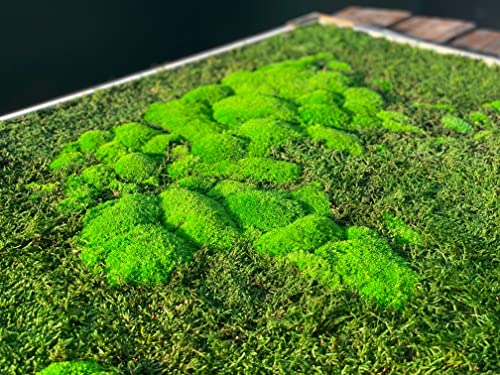 3D Moss World Gerahmte Karte - stabilisiertes Naturwaldmoos und nordische Flechten - Wanddekoration Innendekoration (112x65cm, grünes Moos - schwarzer Holzrahmen)