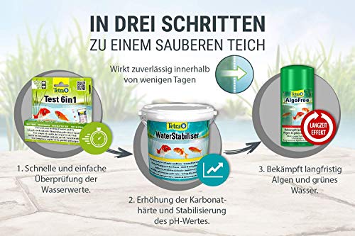 Tetra Pond AlgoFree Schwebealgen- und Fadenalgenvernichter, bekämpft langfristig grünes Wasser im Gartenteich, 3 L