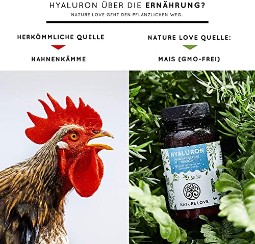 NATURE LOVE® Hyaluronsäure Kapseln mit Zink - Hochdosiert: 500mg - Vegan - 90 Stück (3 Monate) - 500-700 kDa