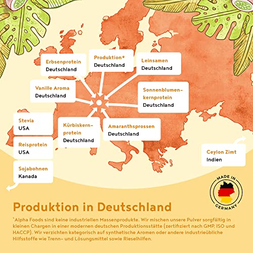 Vegan Protein - VANILLE - Pflanzliches Proteinpulver aus gesprossten Reis, Erbsen, Sojabohnen, Leinsamen, Amaranth, Sonnenblumen- und Kürbiskernen - 1,2kg Pulver