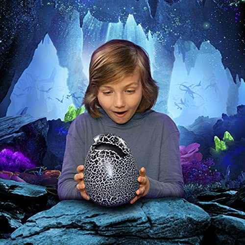 Dreamworks Dragons 6046183 Ohnezahn Babydrachen Ei, Hatching Dragon, Ohnezahn zum Ausbrüten, Soundeffekte, Kopf - und Bauchsensoren, interaktiv