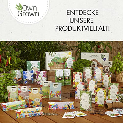 Saatgut Kalender 2023 Wandkalender A4: Garten Wandkalender 2023 – Monatskalender mit 24 Sorten Gemüse Samen, Kräuter, Obst, Blumen – OwnGrown Jahreskalender 2023