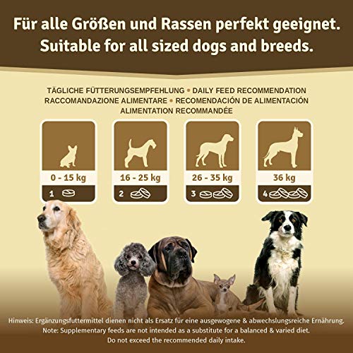 Veddelholzer VERGLEICHSSIEGER 2020 Hunde Gelenktabletten mit Grünlippmuschel Hund MSM & Teufelskralle Glucosamin & Kollagen 125 Kapseln Hunde Leckerlis mit Hyaluron & Omega3