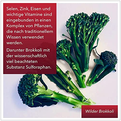 BonVigo® Schilddrüse Kapseln - Normale Schilddrüsenfunktion*, Hormone regulieren** - Pflanzen-Orthomolekular Komplex: Ashwagandha, Yams, Bärlauch, L-Tyrosin, Selen, Zink, Eisen, Vitamine A-B-D-E (1)