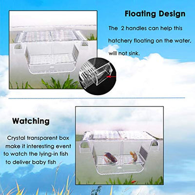 capetsma Fischzuchtkasten, Acryl-Fisch-Isolationsbox mit Saugnäpfen, Aquarium-Acclimation Hatchery Inkubator für Babyfische, Garnelen, Clownfische und Guppy... Kleine Größe (S)