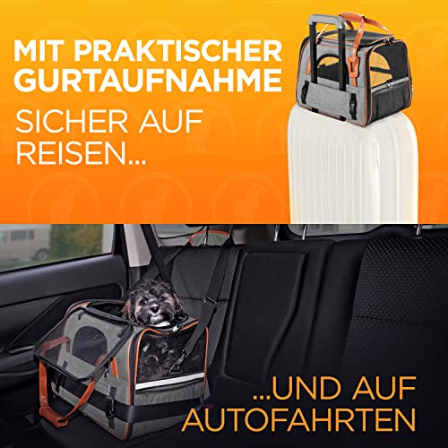 Tierhood ® - Faltbare Tragetasche für Hund & Katze bis 7 kg [Luxusdesign] - inkl. Tragegurt - Hundetragetasche - Katzentragetasche - Haustiertragetasche -Transporttasche - Katzentasche - Hundebox