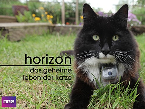 Das geheime Leben der Katze [dt./OV]