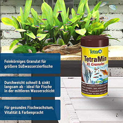 TetraMin XL Granules - langsam absinkendes Fischfutter für größere Zierfische in der mittleren Wasserschicht des Aquariums, 250 ml Dose