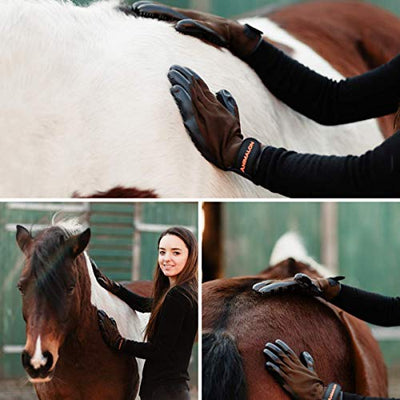 Animalon Fellpflege Handschuh aus Kautschuk (Doppelpack) | innovativer und praktischer Fellwechsel-Helfer für Pferde und Hunde | Gummi-Striegel-Handschuh für Pferde besonders im Fellwechsel (L)