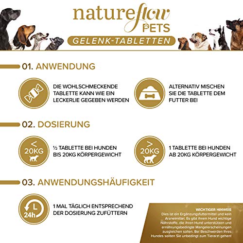 Gelenktabletten für Hunde - mit Grünlippmuschel, MSM und Teufelskralle - Hohe Akzeptanz beim Hund da keine Kapseln - 100 Tabletten für bis zu 6 Monate - In Deutschland hergestelltes Ergänzungsfutter