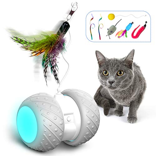 HOFIT Interaktives Elektrischer Katzenspielzeug Automatischer Drehender Katzenball mit LED-Lichtspielzeug,Katzen Roller Ball Intelligenzspielzeug Für Kätzchen und Hund