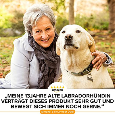 Gelenktabletten für Hunde - mit Grünlippmuschel, MSM und Teufelskralle - Hohe Akzeptanz beim Hund da keine Kapseln - 100 Tabletten für bis zu 6 Monate - In Deutschland hergestelltes Ergänzungsfutter