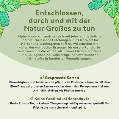 Vegan Protein - NEUTRAL - Pflanzliches Proteinpulver aus gesprossten Reis, Erbsen, Sojabohnen, Leinsamen, Amaranth, Sonnenblumen- und Kürbiskernen - 600g Pulver