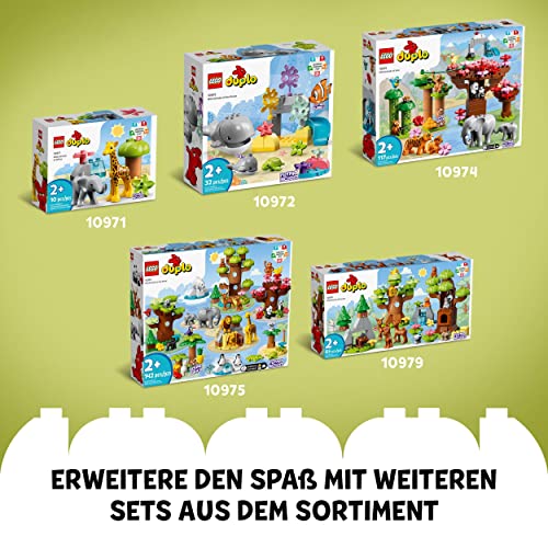 LEGO 10973 DUPLO Wilde Tiere Südamerikas Spielzeug-Set mit 7 Tierfiguren, Steine und Dschungel-Spielmatte, Lernspielzeug für Mädchen und Jungen ab 2 Jahre