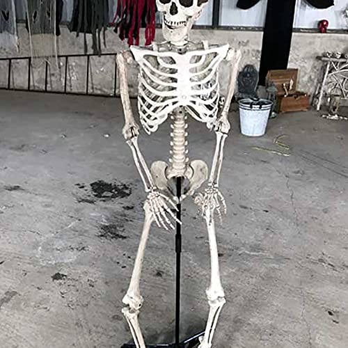 Halloween Deko,70/160 cm lebensgroßes Skelett Ganzkörper realistische menschliche Knochen mit beweglichen Gelenken für Halloween Pose Skelett Prop Dekoration (70 cm)