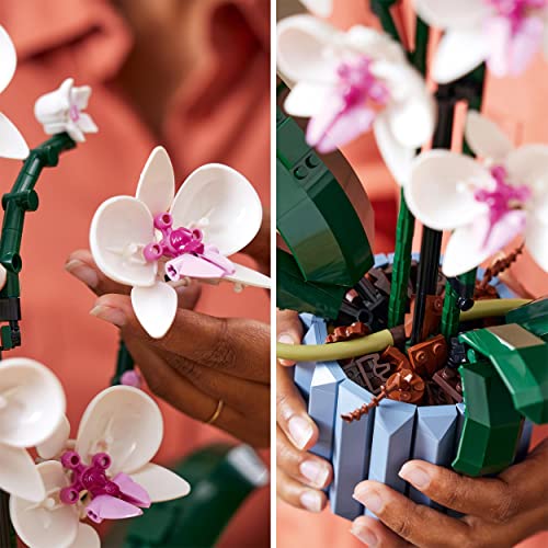 LEGO 10311 Icons Orchidee Set für Erwachsene zum Basteln von Zimmerdeko mit künstlichen Pflanzen, Botanical Collection Home Deko