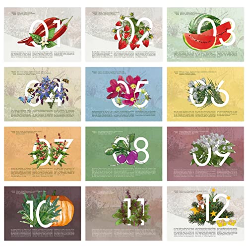 Saatgut Kalender 2023 Wandkalender A4: Garten Wandkalender 2023 – Monatskalender mit 24 Sorten Gemüse Samen, Kräuter, Obst, Blumen – OwnGrown Jahreskalender 2023