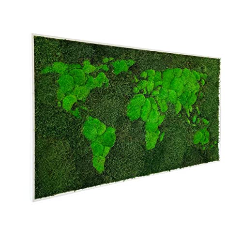 3D Moss World Gerahmte Karte - stabilisiertes Naturwaldmoos und nordische Flechten - Wanddekoration Innendekoration (112x65cm, grünes Moos - schwarzer Holzrahmen)