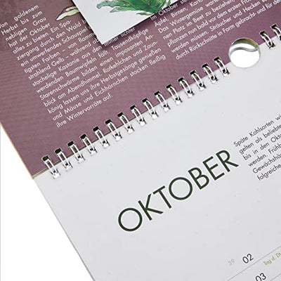 Saatgut Kalender 2023 Wandkalender A4: Garten Wandkalender 2023 – Monatskalender mit 24 Sorten Gemüse Samen, Kräuter, Obst, Blumen – OwnGrown Jahreskalender 2023