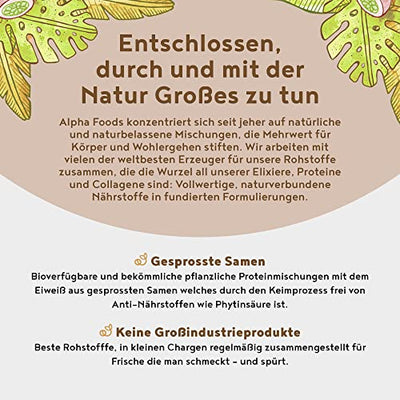 Vegan Protein - KOKOS - Pflanzliches Proteinpulver aus gesprossten Reis, Erbsen, Sojabohnen, Leinsamen, Amaranth, Sonnenblumen- und Kürbiskernen - 600 Gramm Pulver