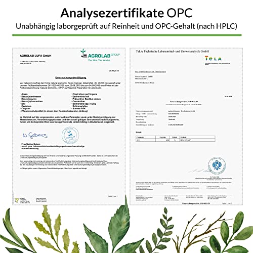 OPC Traubenkernextrakt - 240 Kapseln für 8 Monate - Laborgeprüftes OPC aus europäischen Weintrauben