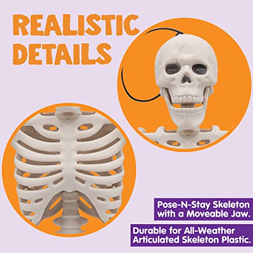 JOYIN 2 Pack 40.6cm Halloween Skelette | Bewegliche Ganzkörper-Gelenkskelette für Halloween Dekoration, Friedhofsdekorationen, Spukhauszubehör