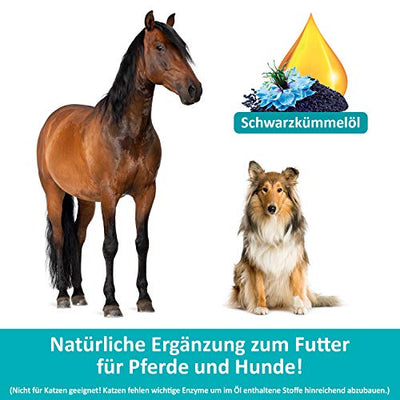 Green Hero Premium Schwarzkümmelöl 500 ml für Hunde und Pferde - Kümmelöl reich an Omega 6 und 9 Fettsäuren sowie Linolsäure - Barf Zusatz - Einzelfuttermittel