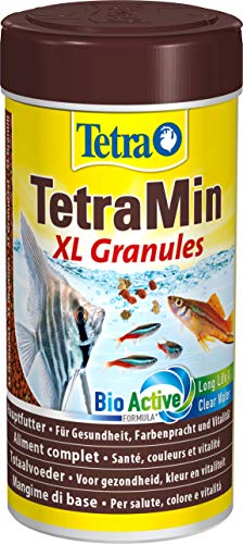 TetraMin XL Granules - langsam absinkendes Fischfutter für größere Zierfische in der mittleren Wasserschicht des Aquariums, 250 ml Dose