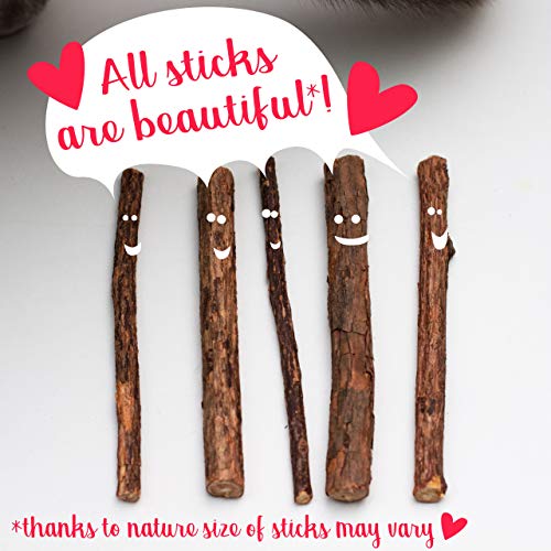 PRETTY KITTY Katzen Zahnpflege Sticks: 5X Matatabi Stick Katze aus Holz als Katzenspielzeug Natur gegen Mundgeruch – Dental Sticks Katze – Katzen Kauspielzeug für praktische Dental Care bei Katzen