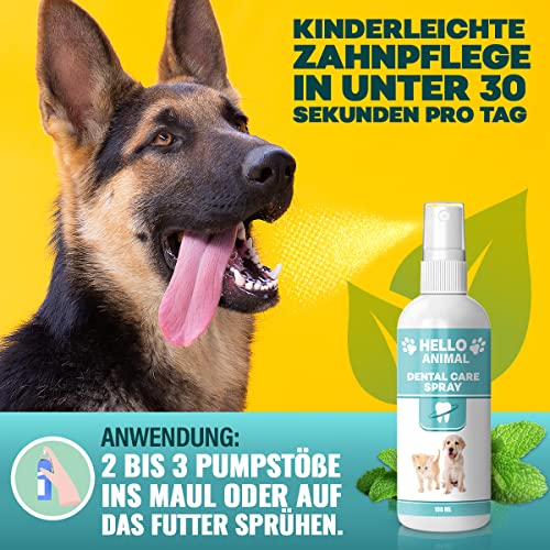 NEU: HelloAnimal® DENTAL Spray für Hunde und Katzen – Zahnsteinentferner auch für Zwischenräume - Zahnreinigung und Zahnpflege – Dentalspray für Mundgeruch