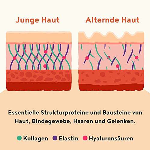 Collagen mit Elastin und Hyaluronsäure - Kollagen Hydrolysat Peptide Type I, II und III - Pink Grapefruit - 450 Gramm Pulver