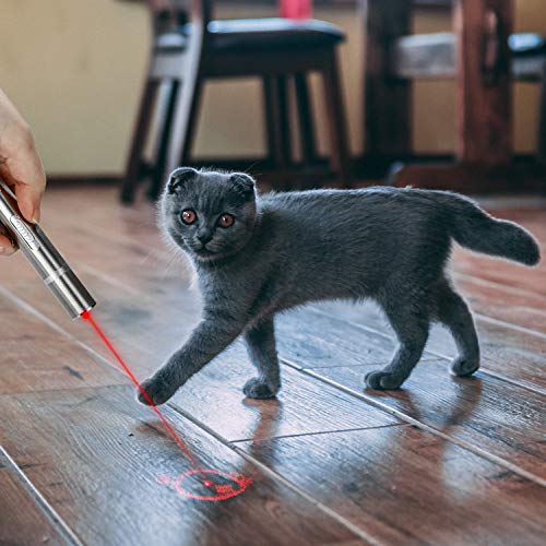 Toozey LED Pointer Katzen Hund Spielzeug Haustier LED Light Licht Pointer mit USB Wiederaufladbar, Bonus Zwei kleine Mäuse Spielzeug