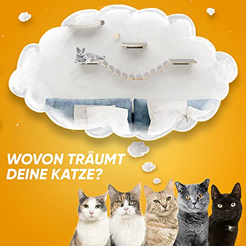 Nelix Katzenkletterwand | Kratzbaum 2.0 für Katzen | Kletterwand aus Echtholz | Katzentreppe Katzenmöbel Hängematte (5-Teilig)