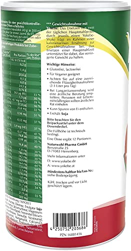 Yokebe - Die Aktivkost - Erdbeer - Diätshake zur Gewichtsabnahme - glutenfrei, laktosefrei und vegan - Diät-Drink mit Proteinen - 500 g = 12 Portionen