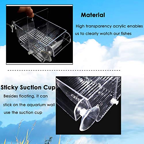 capetsma Fischzuchtkasten, Acryl-Fisch-Isolationsbox mit Saugnäpfen, Aquarium-Acclimation Hatchery Inkubator für Babyfische, Garnelen, Clownfische und Guppy... Kleine Größe (S)