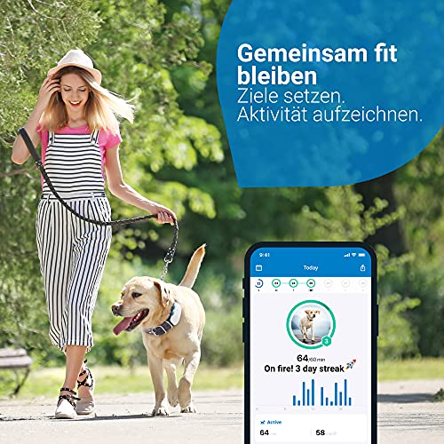 Tractive GPS DOG 4. Tracker für Hunde. Immer wissen, wo dein Hund ist. Halte ihn mit Aktivitätstracking fit. Unbegrenzte Reichweite. (Schneeweiß)