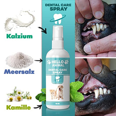 NEU: HelloAnimal® DENTAL Spray für Hunde und Katzen – Zahnsteinentferner auch für Zwischenräume - Zahnreinigung und Zahnpflege – Dentalspray für Mundgeruch