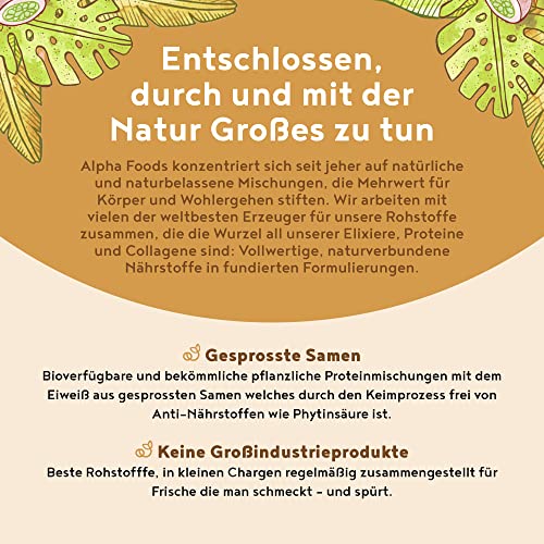 Vegan Protein - ERDNUSSBUTTER - Pflanzliches Proteinpulver aus gesprossten Reis, Erbsen, Sojabohnen, Leinsamen, Amaranth, Sonnenblumen- und Kürbiskernen - 600g Pulver