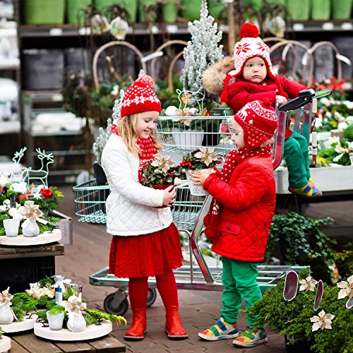 24 Stücke Weihnachten Funkeln Weihnachtsstern Blumen Künstliche Weihnachten Blumen Hochzeit Weihnachtsbaum Neujahr Ornamente (Gold)