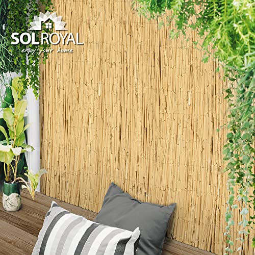 Sol Royal Schilf Sichtschutz Zaun 90x600 cm SolVision S36 - langlebiger & witterungsbeständiger 100% Schilfrohr Sicht Schutz Indoor & Outdoor für Balkon, Terrasse, Garten - Windschutz & Sonnenschutz