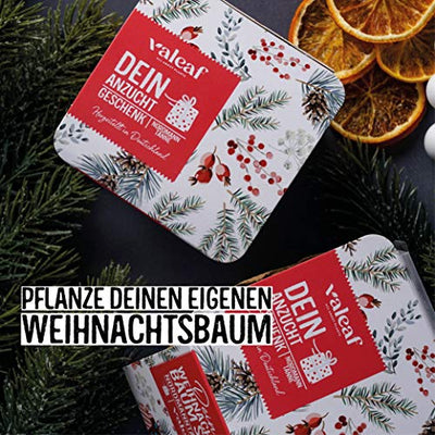 Weihnachtsbaum Anzucht Set I tolle Geschenk-Idee für Weihnachtsgeschenke, Wichtelgeschenke Weihnachten, Nikolausgeschenke und Garten Geschenke I Weihnachtsbaum aus der Dose I Pflanzset inkl. Zubehör